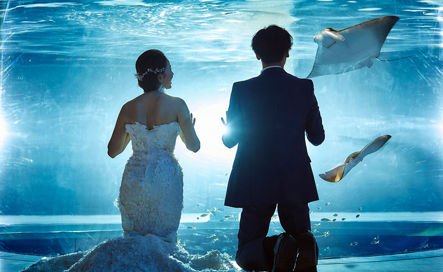 水族館ウェディング相談会
