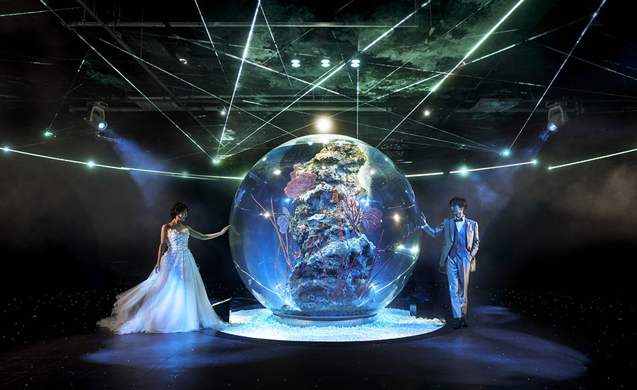 水族館ウェディング相談会