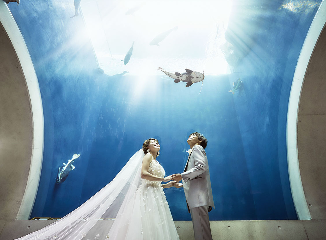 フォトウェディング プラン