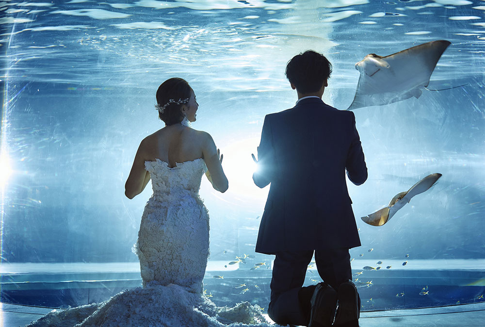 アクアリウムフォト