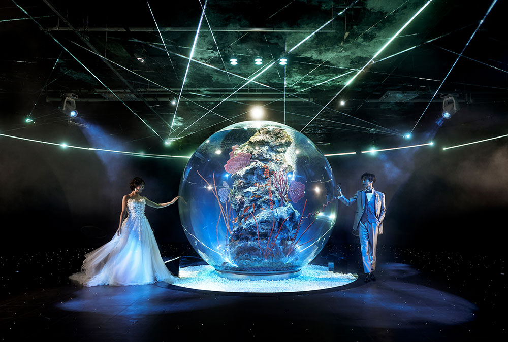 アクアリウムフォト