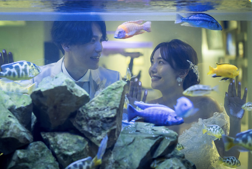 アクアリウムフォト